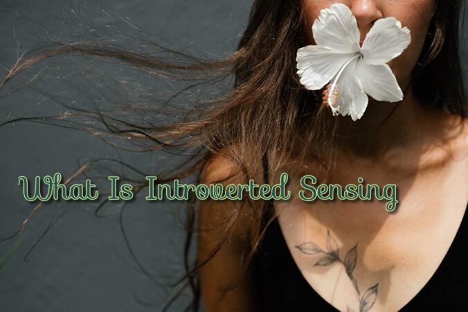 内向的な人に関する神話